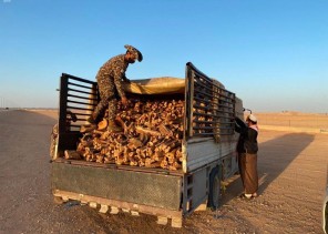 القوات الخاصة للأمن البيئي تضبط أكثر من 4 أطنان من الحطب المحلي في الرياض