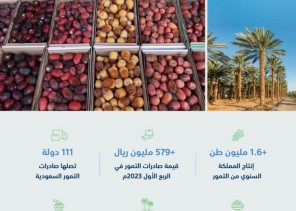 “البيئة”: المملكة تنتج أكثر من 1.6 مليون طن من التمور سنويًا.. بصادرات تجاوزت قيمة 1.28 مليار ريال