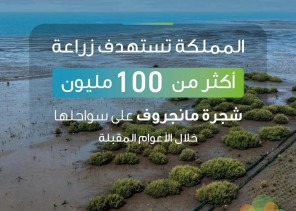 “الغطاء النباتي”.. زراعة أكثر من 6 ملايين شتلة مانجروف والمملكة تستهدف زراعة 100 مليون شجرة خلال السنوات المقبلة