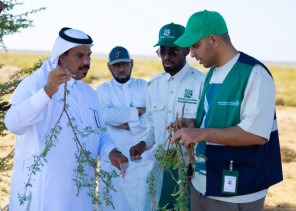 هيئة تطوير محمية الملك سلمان بن عبدالعزيز الملكية بالتعاون مع مركز وقاء تنفذ دراسة مسببات الأمراض النباتية لشجر الطلح وعزل الفطريات المصابة