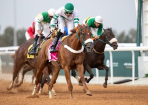 نادي سباقات الخيل للفروسية يقيم منافسات الأسبوع الثامن من موسم سباقات الطائف