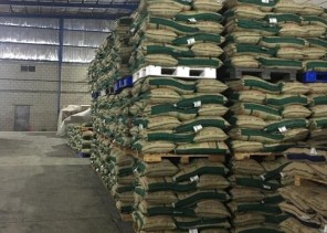 “الغذاء والدواء” تضبط 123 ألف كيلوغرام أرز في مستودع بجدة لاحتوائها على نسبة مرتفعة من مبيد TRICYCLAZOLE