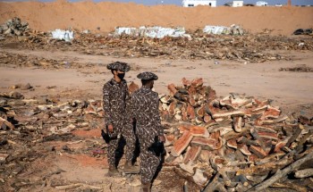 القوات الخاصة للأمن البيئي تضبط 90 طناً من الحطب المحلي المعد للبيع في مدينة الرياض