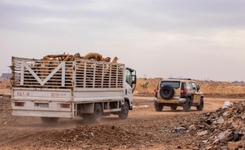 القوات الخاصة للأمن البيئي بـ”الرياض” يضبط 34 مخالفا لنظام المراعي والغابات