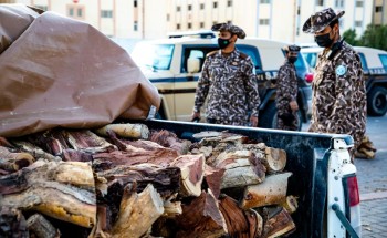 القوات الخاصة للأمن البيئي تضبط أكثر من 9 أطنان من الحطب المحلي المعد للبيع في الرياض