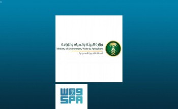 وزارة البيئة تفسح 3 ملايين رأس ماشية وأكثر من 1.2 مليون طن خضار وفاكهة بمحاجر منطقة مكة المكرمة