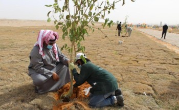 أمانة الجوف وبلدياتها تطلق الموسم الرابع لمبادرة “الجوف واحة خضراء”