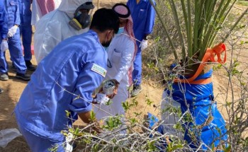 في دورة تدريبية..”الزراعة” تستعرض آليات مكافحة سوسة النخيل الحمراء بأملج