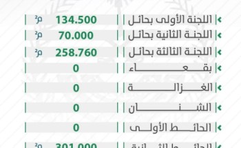 تعديات حائل تزيل أكثر من ٨٠٠ الف متر مربع خلال صفر