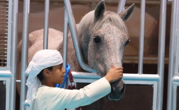 معرض أبوظبي الدولي للصيد والفروسية يدشن نسخته الرابعة من مسابقة ركوب الخيل لأصحاب الهمم