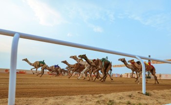 مهرجان ولي العهد بالطائف يختتم مرحلته التمهيدية