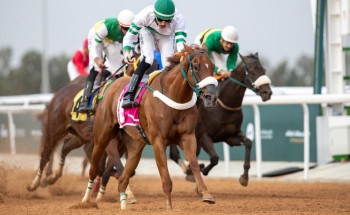 نادي سباقات الخيل للفروسية يقيم منافسات الأسبوع الثامن من موسم سباقات الطائف