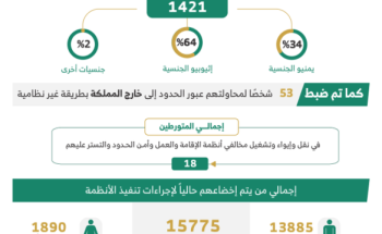 الحملات الميدانية المشتركة تضبط 21971 مخالفًا لأنظمة الإقامة والعمل وأمن الحدود خلال أسبوع