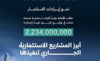 جازان تستقطب 44 مشروعاً بـ 3 مليارات ريال خلال 3 سنوات