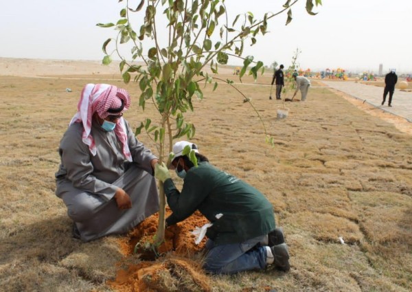 أمانة الجوف وبلدياتها تطلق الموسم الرابع لمبادرة “الجوف واحة خضراء”