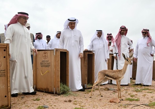 وزير البيئة والمياه والزراعة يطلق 92 كائنًا فطريًا في متنزه البيضاء البريٍ بالمدينة المنورة