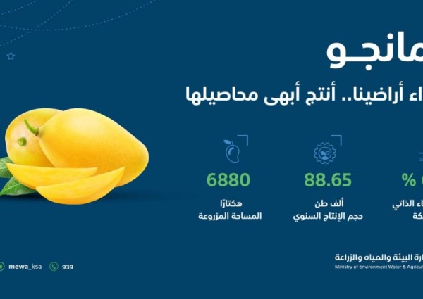 “البيئة “: الإنتاج المحلي من المانجو يتجاوز 88.6 ألف طن سنويًا محققًا60 % نسبة اكتفاء ذاتي