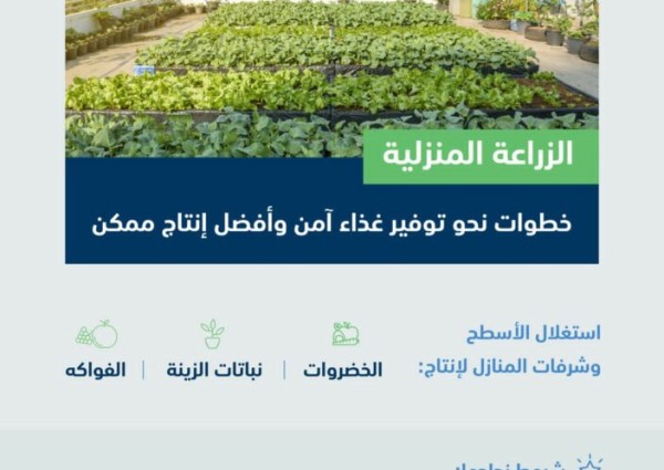 “البيئة”: الزراعة المنزلية خطوة نحو تحقيق فوائد بيئية وصحية وتوفير غذاء آمن