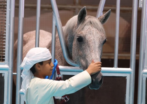 معرض أبوظبي الدولي للصيد والفروسية يدشن نسخته الرابعة من مسابقة ركوب الخيل لأصحاب الهمم