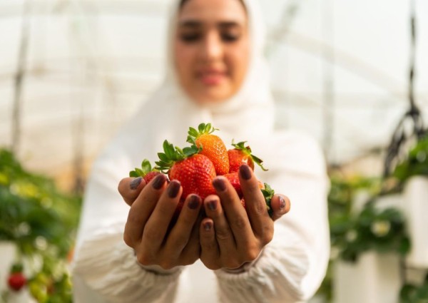 مؤسسة ريف الأهلية تطلق مبادرة التمكين الاقتصادي للمرآه الريفية في المملكة