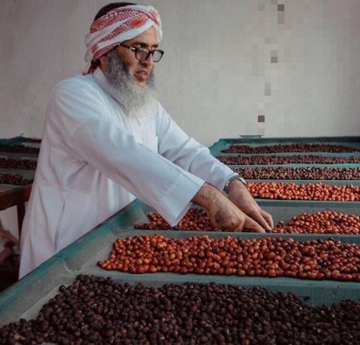 بالصور.. جبال الداير “حاضنة البن و عاصمته” تنتج أجود و أغلى أنواع البن في العالم