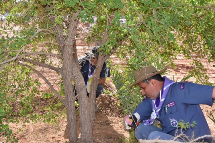 ناشط بيئي يدعو الى التعاون مع وزارة البيئة للمحافظة على الغطاء النباتي 