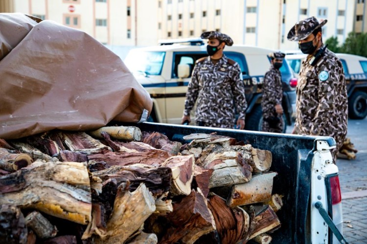 القوات الخاصة للأمن البيئي تضبط أكثر من 9 أطنان من الحطب المحلي المعد للبيع في الرياض