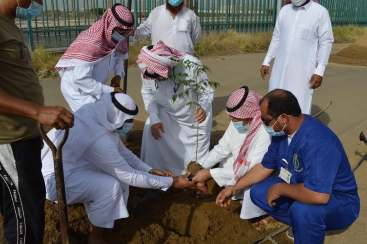 ‏بالتعاون مع فرع وزارة البيئة والمياه والزراعة بجازان.. تشجير مبنى الإذاعة والتلفزيون بمنطقة جازان