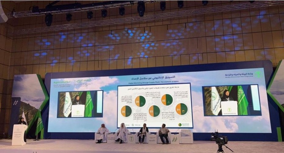 المملكة تصدّر (215) ألف طن من التمور بـ (1.2) مليار ريال