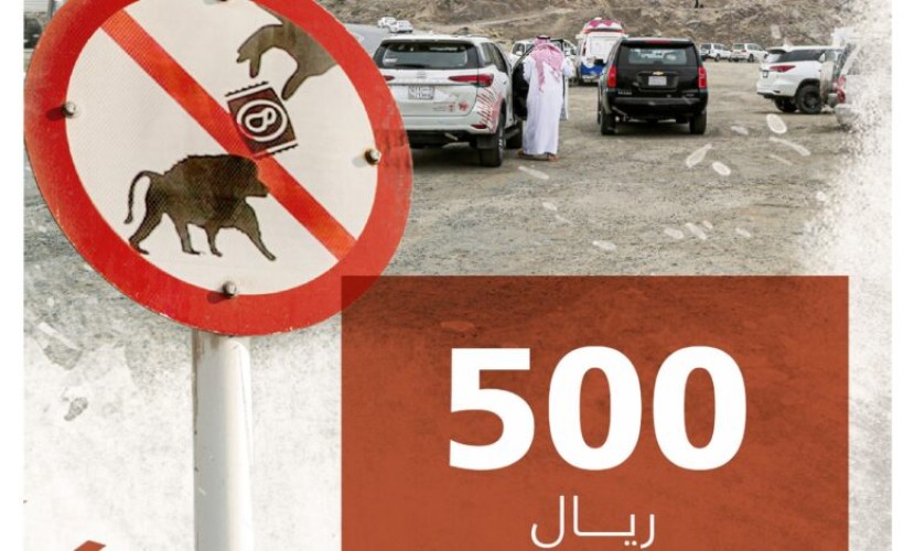 “الحياة الفطرية”: إطعام قرود البابون سلوكًا مخالفًا لنظام البيئة ويستوجب غرامة تبلغ 500 ريال