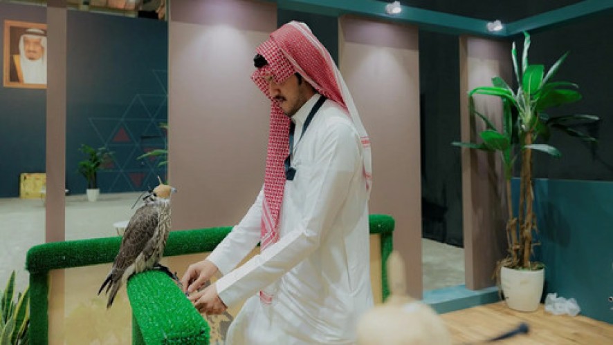 مزرعة (special falcons) الألمانية تبيعُ كلَّ صقورِها في المزاد الدولي لمزارع إنتاج الصقور