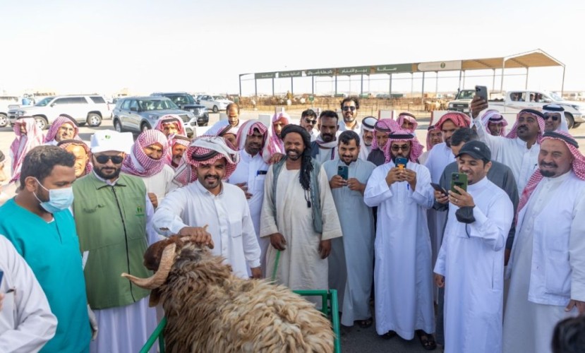 فرع وزارة البيئة بالشمالية” يطلق برنامج “أضحيتي”