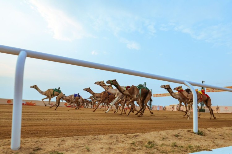 مهرجان ولي العهد بالطائف يختتم مرحلته التمهيدية