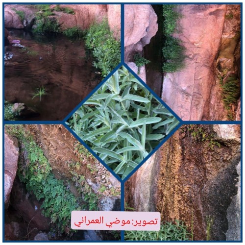 جبل القطار … موسيقى ربانية