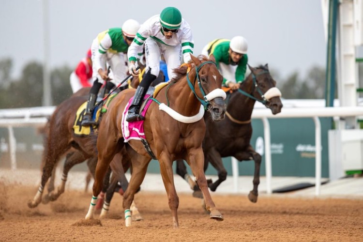 نادي سباقات الخيل للفروسية يقيم منافسات الأسبوع الثامن من موسم سباقات الطائف