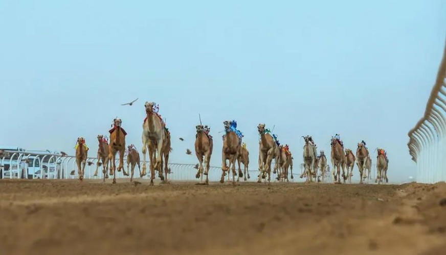 السعوديين يسيطرون على كؤوس مهرجان ولي العهد