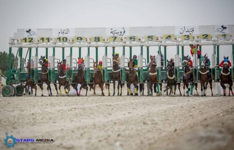 31 جواداً من ميدان الدمام يتأهبون للتأهل للمشاركة في أشواط أبطال الميادين بميدان الملك عبدالعزيز بالرياض